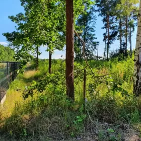 Działka budowlana bardzo blisko Warszawy.