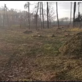 Działka budowlana bardzo blisko Warszawy.