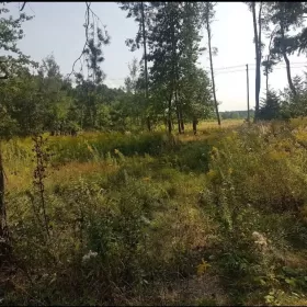Działka budowlana bardzo blisko Warszawy.
