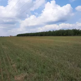 Działki budowlane okolice Wyszkowa 60 km od Warszawy