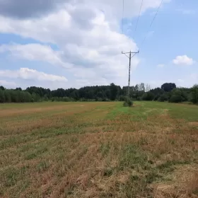 Działki budowlane okolice Wyszkowa 60 km od Warszawy