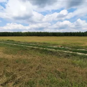 Działki budowlane okolice Wyszkowa 60 km od Warszawy