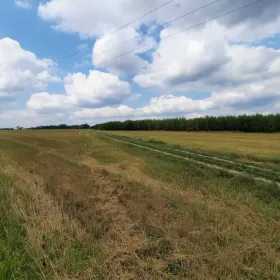 Działki budowlane okolice Wyszkowa 60 km od Warszawy