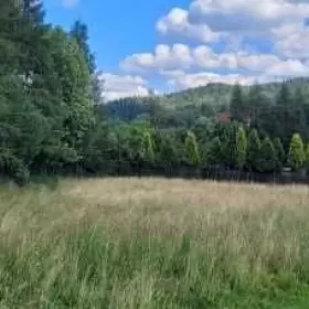 Sprzedam piękną budowlaną, inwestycyjną.