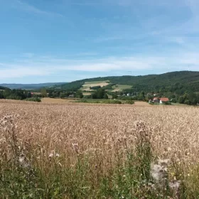 Bieszczady zach./Beskid Niski -działka budowlana na wzgórzu! bezpośred