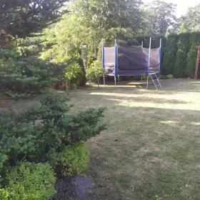 Sprzedam piękną działkę rekreacyjną w Łochowie