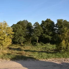 Działka na mazurach