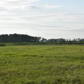 Działka budowlana DOMASŁAW