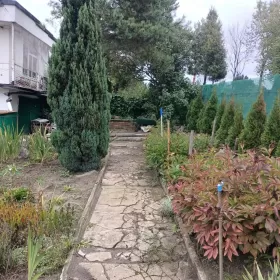 Działka rekreacyjna ROD Grodziec