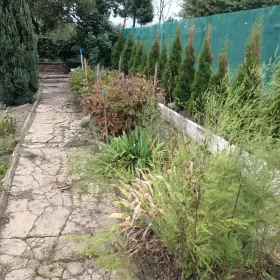 Działka rekreacyjna ROD Grodziec
