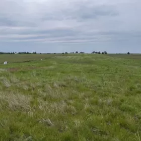 Sprzedam działkę budowlaną - Gostynin, ul. Krośniewicka