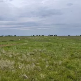 Sprzedam działkę budowlaną - Gostynin, ul. Krośniewicka