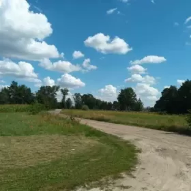 Sprzedam dom jednorodzinny - Domanin, gmina Dąbie