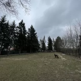 Sprzedam dom z dużą działką Puszcza zielonka