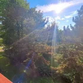 Sprzeda, Mieszkanie Wodzisław XXX lecia, 3 pokoje z dużym balkonem, 2 Piętro