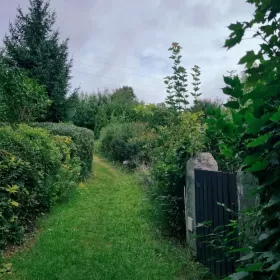 Działka / Ogródek działkowy / Łódź / Źródłowa