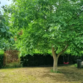 Działka / Ogródek działkowy / Łódź / Źródłowa