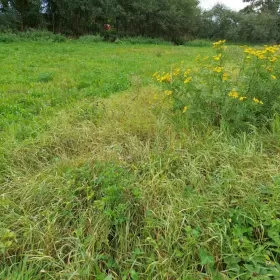 Sprzedam działkę budowlaną Lipnica Dolna