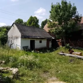 Z miasta na wieś, Domek na wsi plus łąka nad rzeką