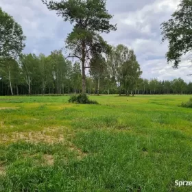 Działka na mazurach Z własną linią brzegową na szlaku WJM Sprzedam