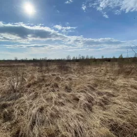 Sprzedam działka nad morzem 3100m Dębki