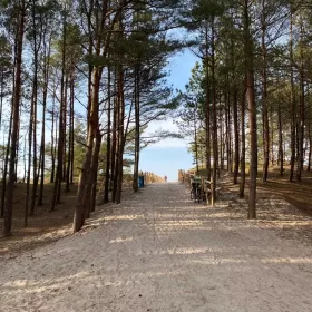 Sprzedam działka nad morzem 3100m Dębki