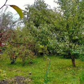Sprzedam Działka rekreacyjna na ogródkach działkowych Radom 