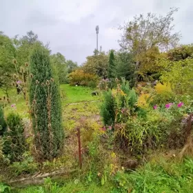 Sprzedam Działka rekreacyjna na ogródkach działkowych Radom 
