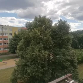 Sprzedam mieszkanie Toruń 3 pokoje, Rydygiera, 2 piętro