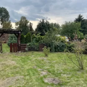 Sprzedam Działka Rod 540m2 Zduńska Wola ogródek działkowy