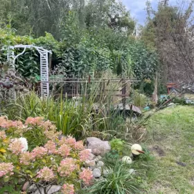 Sprzedam Działka Rod 540m2 Zduńska Wola ogródek działkowy