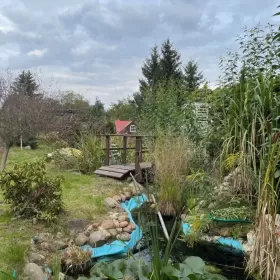 Sprzedam Działka Rod 540m2 Zduńska Wola ogródek działkowy