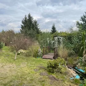Sprzedam Działka Rod 540m2 Zduńska Wola ogródek działkowy