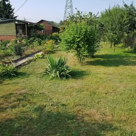 Działka rekreacyjna ROD Złote Piaski br.5 300m2