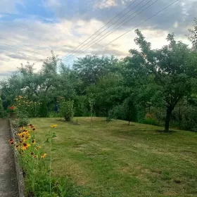 Działka rekreacyjna ROD Złote Piaski br.5 300m2