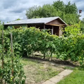 Sprzedam Działka RODO Siedlce Złote Piaski 390m2 z domkiem 20m2