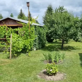 Sprzedam Działka RODO Siedlce Złote Piaski 390m2 z domkiem 20m2