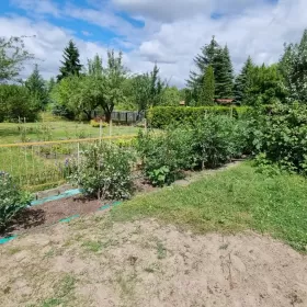 Sprzedam Działka RODO Siedlce Złote Piaski 390m2 z domkiem 20m2