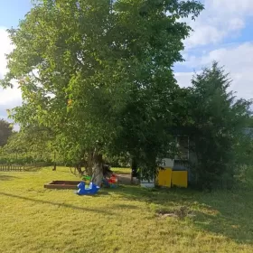 Sprzedam Działka ROD Kolejarz 480 m2 ogródek działkowy 