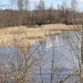 Sprzedam działkę Kazimierz Dolny dzialka ze zbiornikiem wodnym