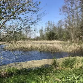 Sprzedam działkę Kazimierz Dolny dzialka ze zbiornikiem wodnym