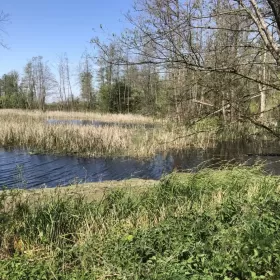 Sprzedam działkę Kazimierz Dolny dzialka ze zbiornikiem wodnym
