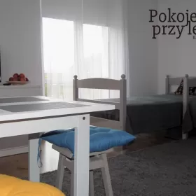  Dwupokojowy apartament Przy Lesie; Kazimierz Dolny