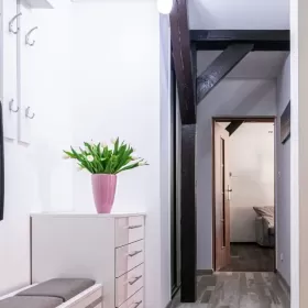 Sprzedam mieszkanie Szczecin 2 pokoje, ścisłe CENTRUM, po remoncie!