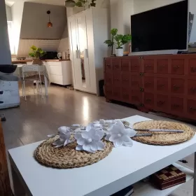 Wynajmę Mieszkanie z sypialnią  na antresoli Bielsko Biała 