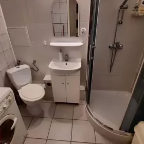 Mieszkanie do wynajęcia Poznań Poznań, Winogrady