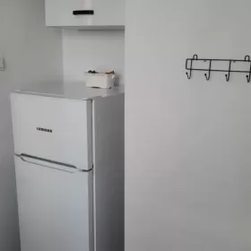 Mieszkanie do wynajęcia Poznań Poznań, Winogrady
