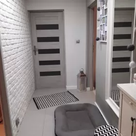 3 pokoje Wynajme piękne mieszkanie remoncie Szczecin 