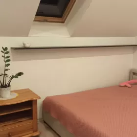Wynajmę mieszkanie Leszno Gronówko
