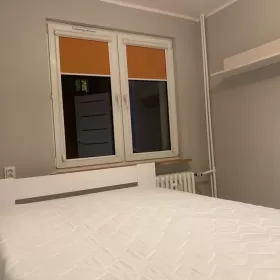 Wynajmę mieszkanie 2 pok 38m Elbląg ul Kopernika